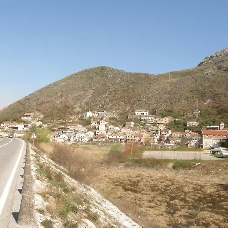Gazivoda *